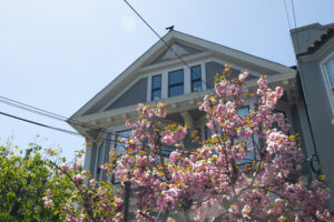 san francisco custom painting gray house11